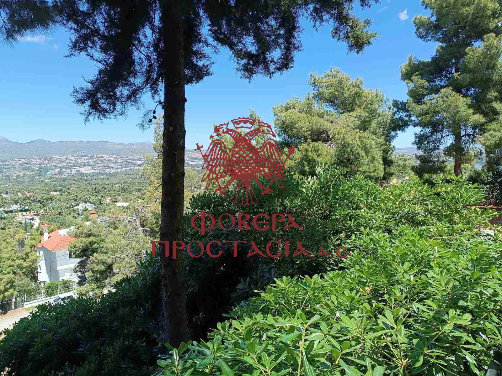 1661e0a11f734acb86c3fee498807fb4-1