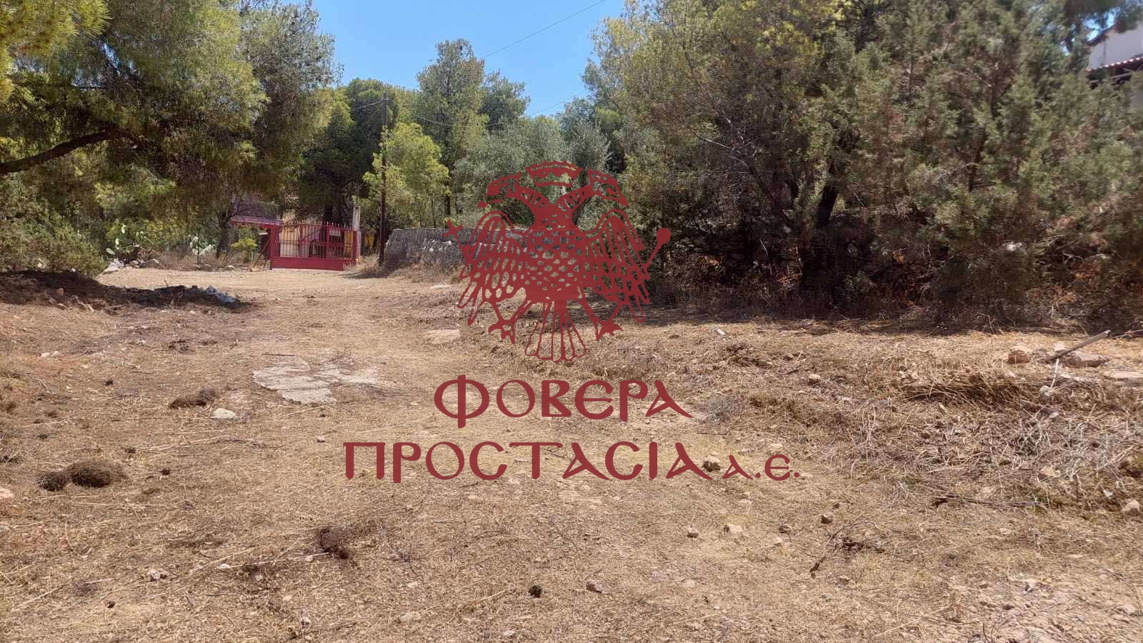 319dd7dd6ecf4a06ad24b27c9862aa69