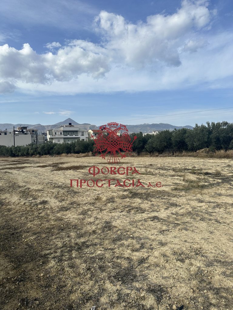 31cbb83f621e4672935dc5532fa9828c