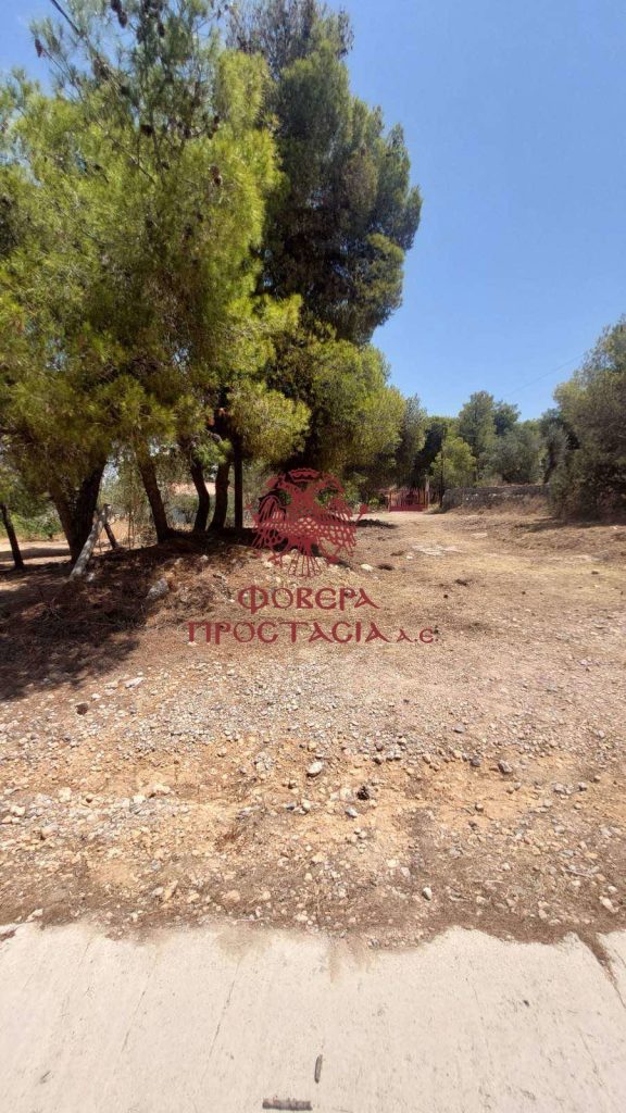 34e9484e0c3a4a208d18ae6f5f779acd