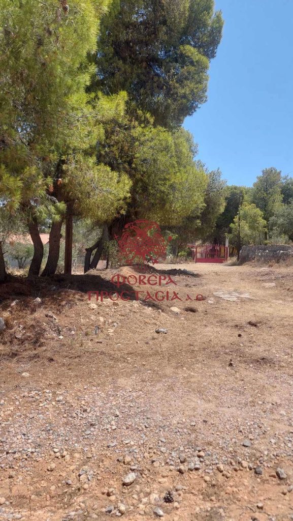 367c51dff95240c098b50d685b909a63