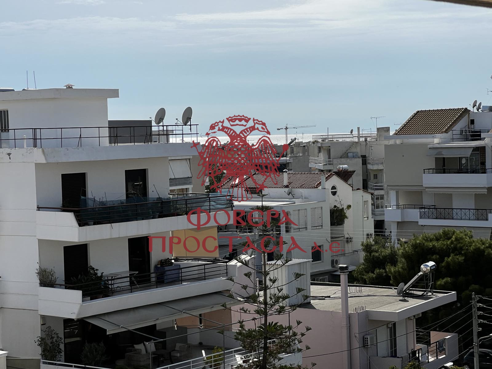 8451df707a1242eab2926472288ee0fa