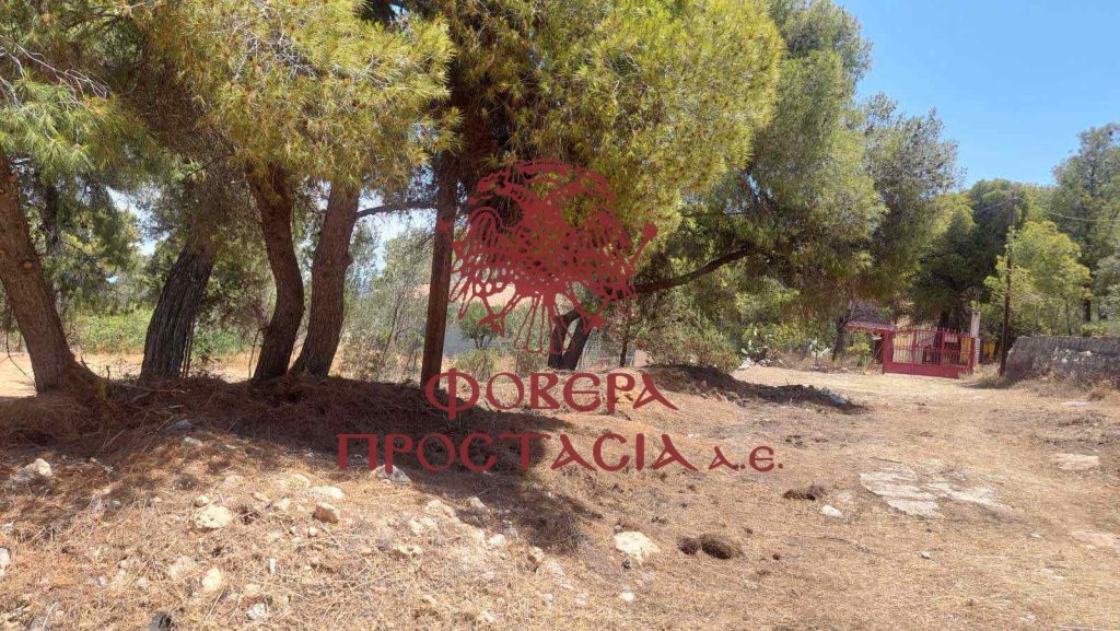 adc3549877134d09a90cee7d1921c8fd