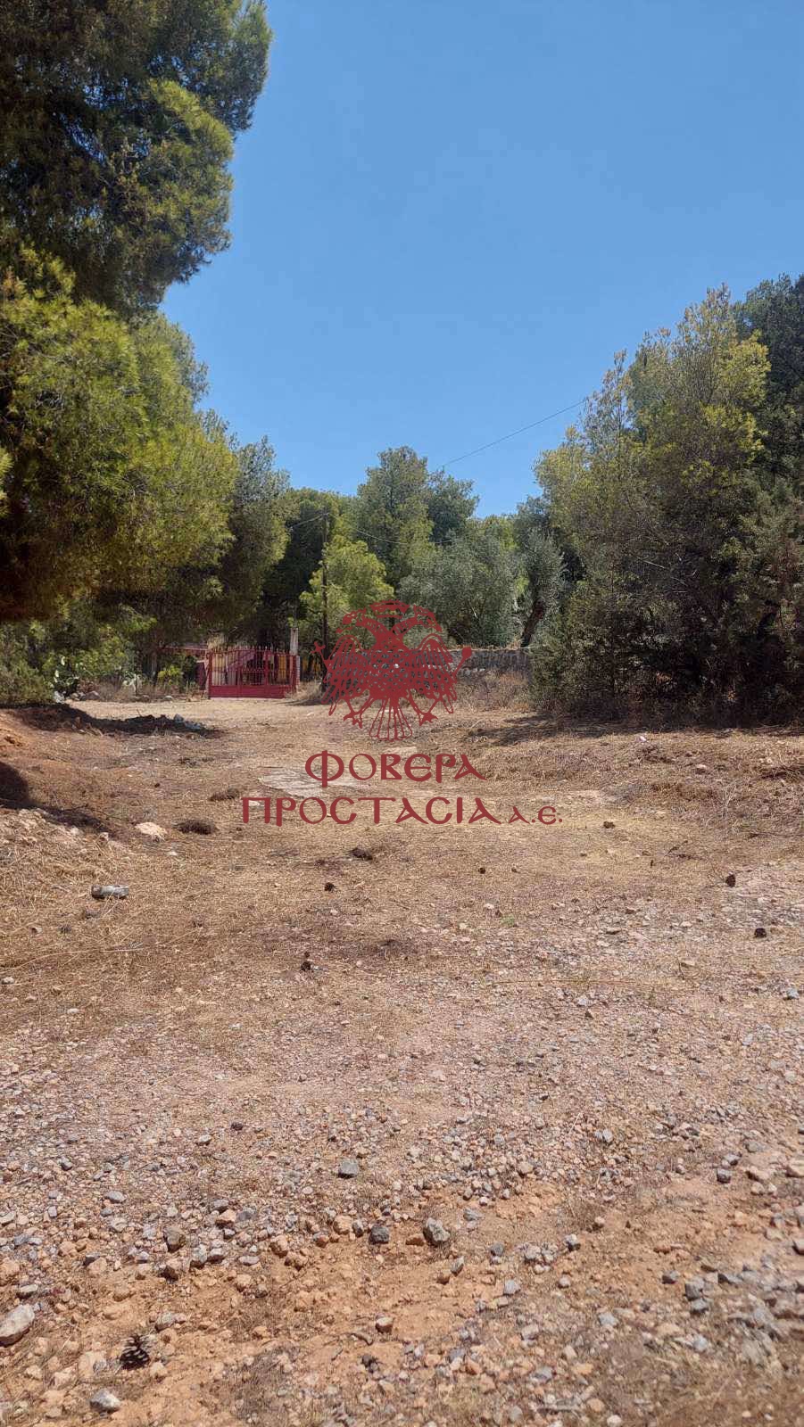 cc6c60e20e1c4770a3a97c095859b605