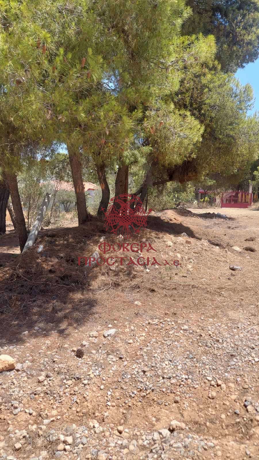 cc75d6e98a68499fbd199a4252a1db0b