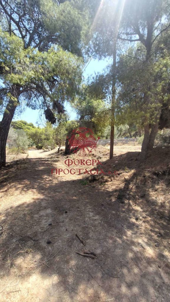 f6eab42a4c004d19a9a578abe7719cfc