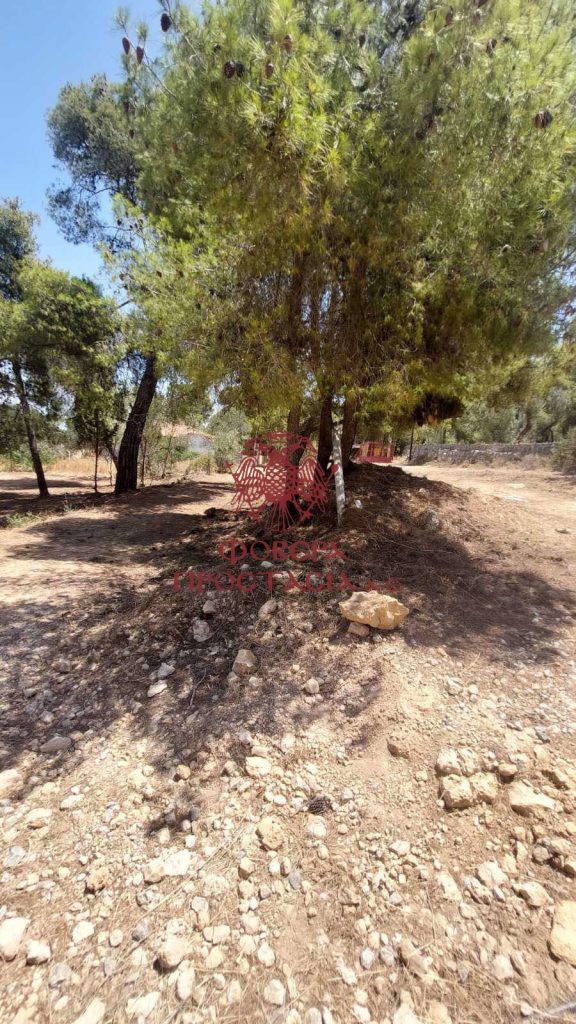 ffe595ab60704de3bc1b9118b4380804