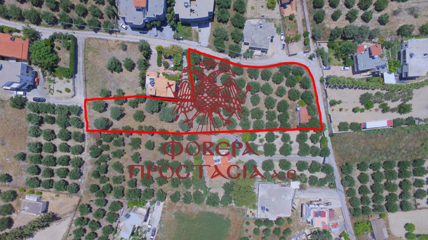 415478ba29f24db6a76ae481dca96426